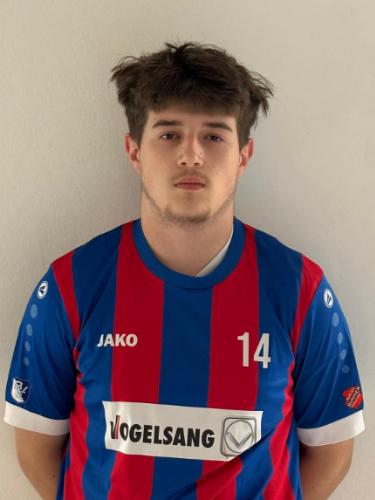 Alexandru-Gabriel Preda