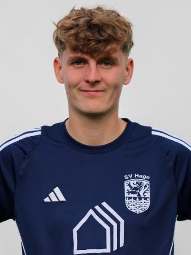 Hauke Hollwege