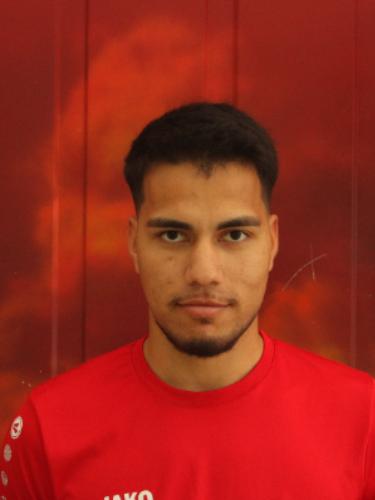 Turki Parda