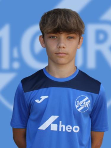 Raphael Leevi da Silva Alvelos