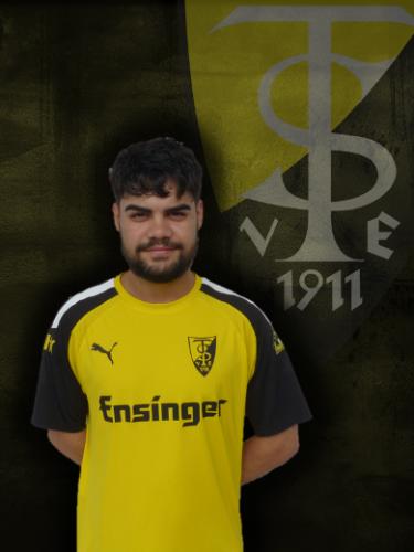 Ionut-Nicusor Raducanu