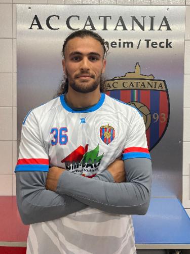 Mohamed Lamin Araba