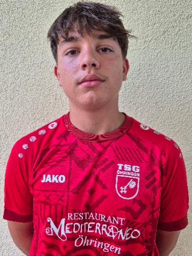 Damijan Veselinovic