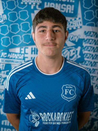 Ibrahim Kaan Artiklar