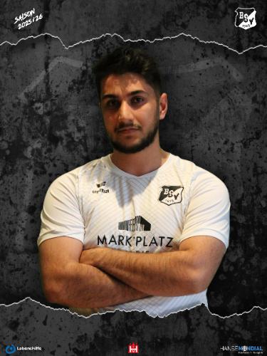 Sejed Mohamad Mahdizadeh