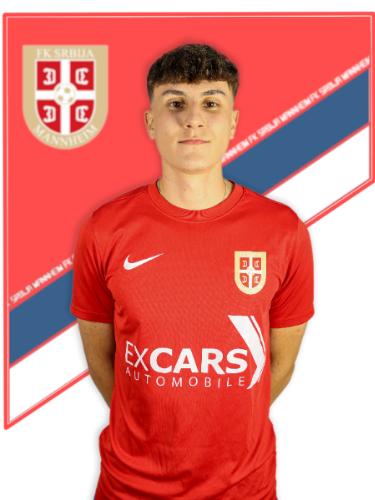 Zoran Mladenovic