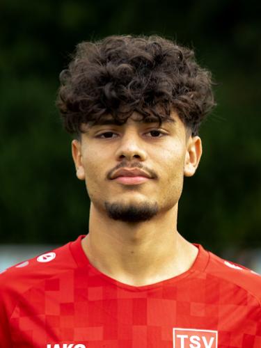 Mohammad Sadeq Sultani