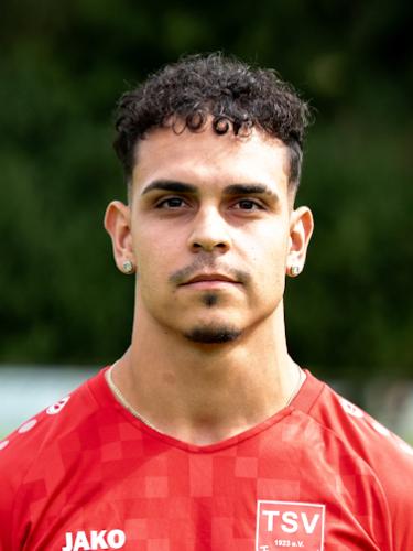 Dino Ventura