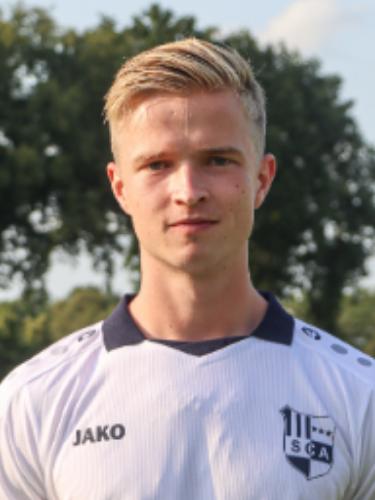 Levin Noel Damer