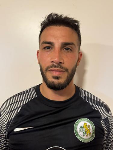 Mohamed Ayoub