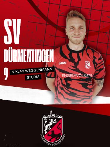 Niklas Weggenmann