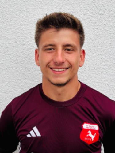 Enrico Mertens