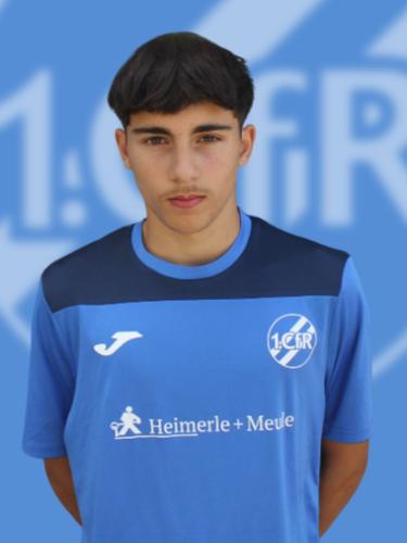 Gianandre Cigno