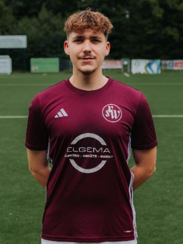 Levin Theodor Bedner