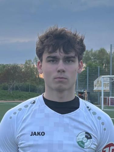 Niklas Leonhard Gries