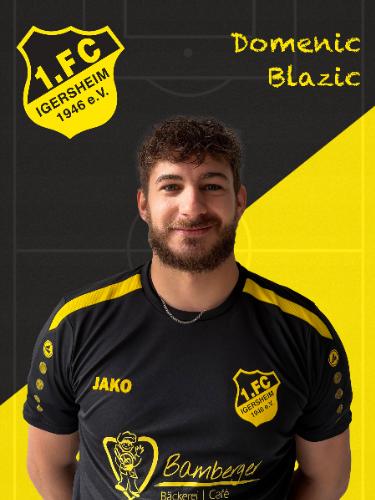 Domenic Blazic