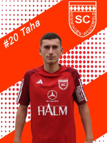 Taha Arslan