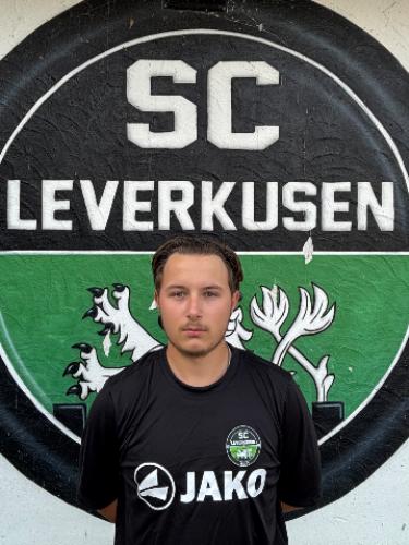 Julian Patrick Sonneborn