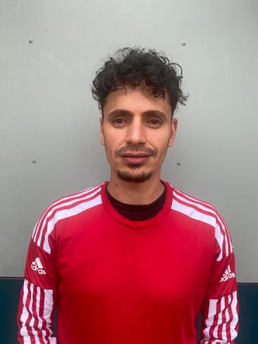 Emad Mohamed Ahmed Mohamed Sewilam