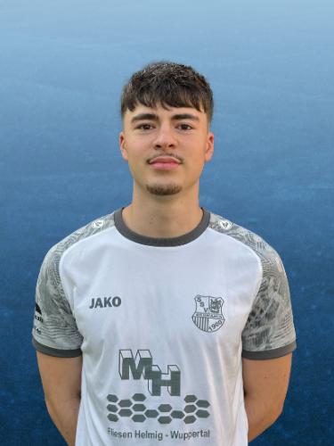 Ignacio Nedic Llorente