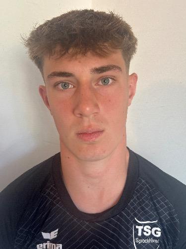 Maximilian Albert Johann Emmert