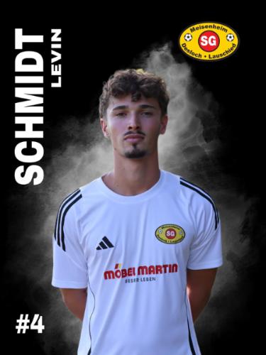 Levin Schmidt