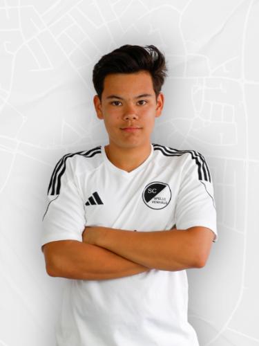 Levi Mau van Trinh
