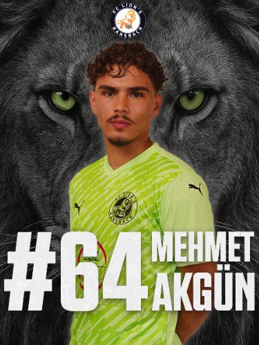 Mehmet Akgün