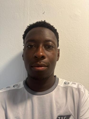 David Christel Adotevi