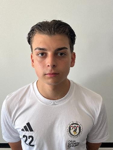 Tarik Alihodzic