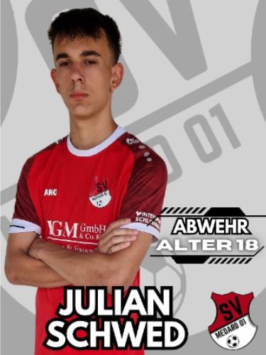 Julian Johannes Schwed