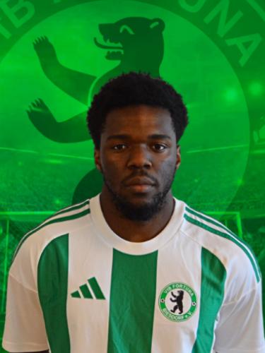 Emmanuel Bessong Ngam