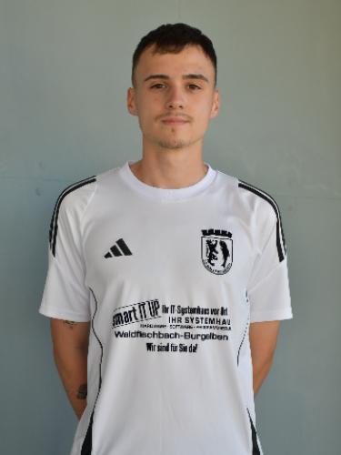Luca Julian Laub