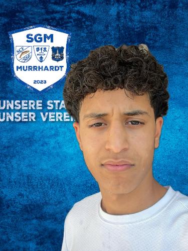 Abdul Mallek Mahmoud