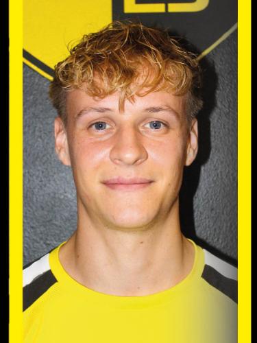 Louis Spielmann
