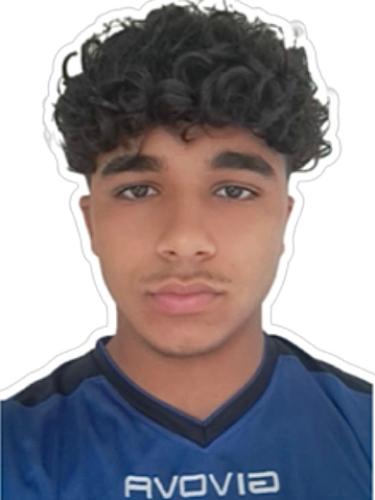 Plamen Dinchov Mirchev