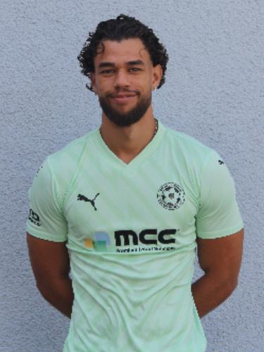 Fabian Schneider Utria