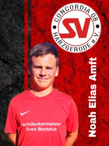 Noah Elias Amft