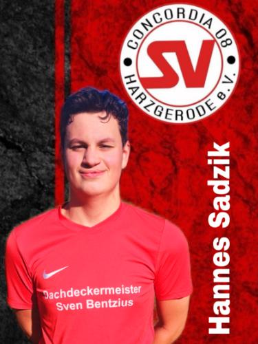 Hannes Sadzik