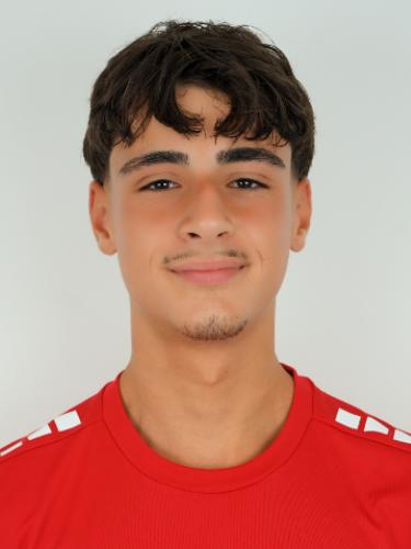 Leonardo Treglia