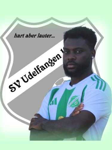 Francis Loic Nzidjo Nguekam