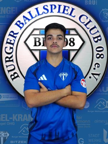 Hamza Naser Eddin