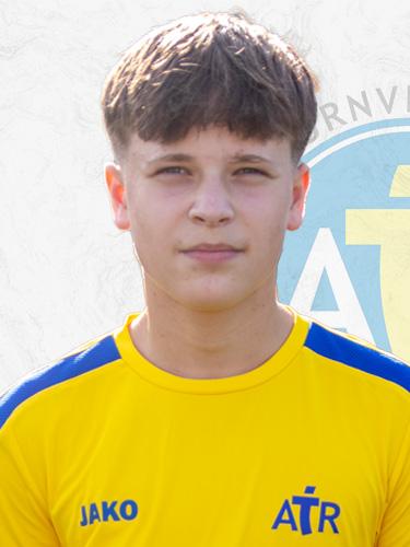 Enis Martinovic
