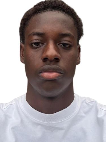 Joel Alessandro Dossantos Bernardo