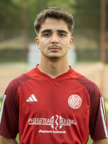 Seyed Mohammad Rafizadah