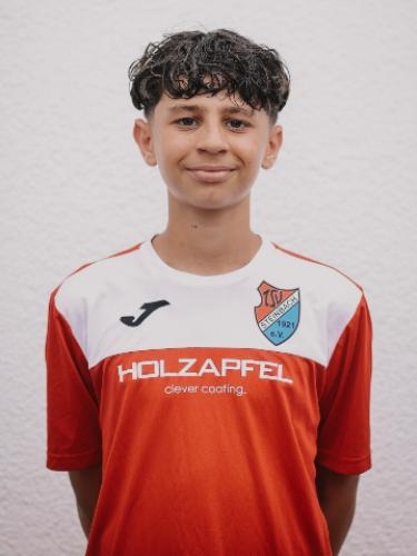 Lionel Schmitting