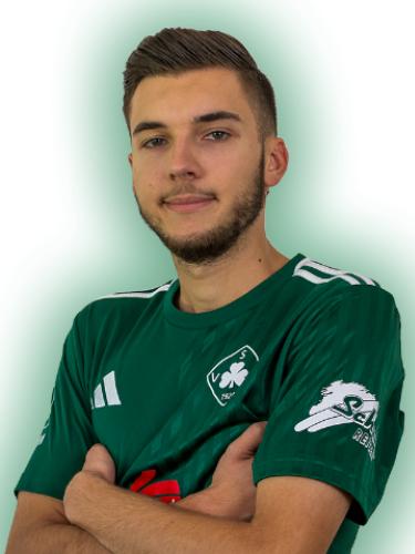 Edvin Bradaric