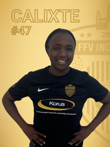 Calixte Ananfack Djouafack