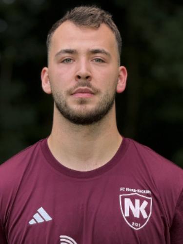 Domenic Joel Schwark