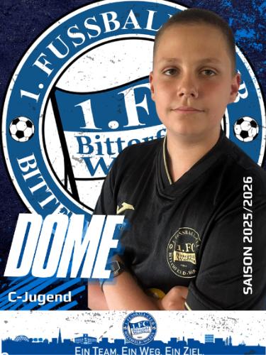 Domenik Hinsche